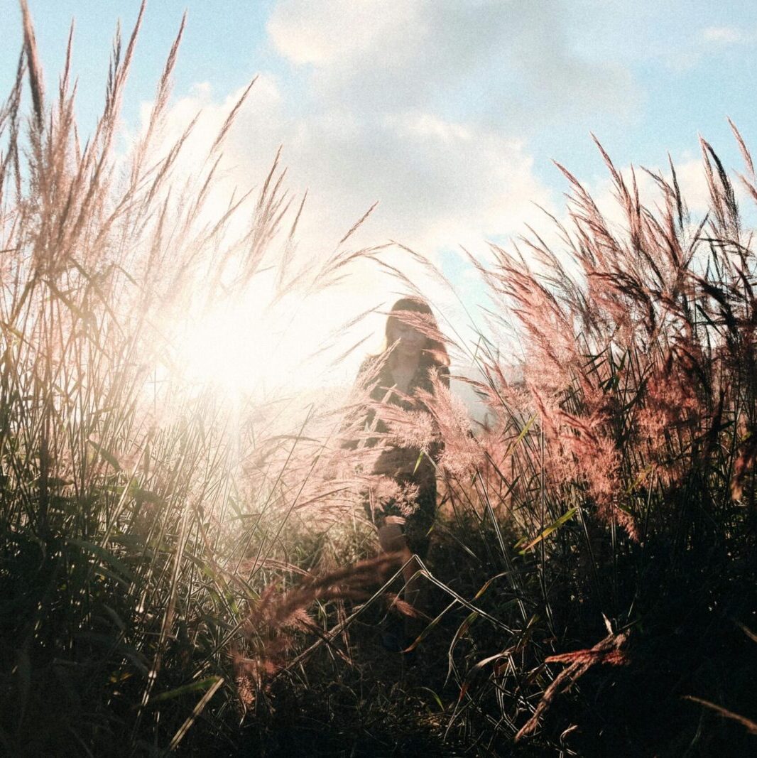 A woman walks through a sunlit field of tall grasses, creating a serene, natural scene.