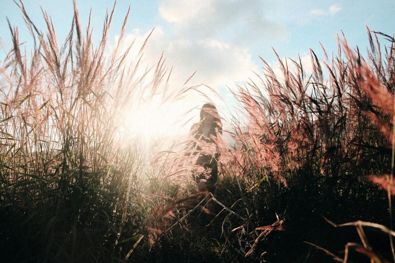 A woman walks through a sunlit field of tall grasses, creating a serene, natural scene.