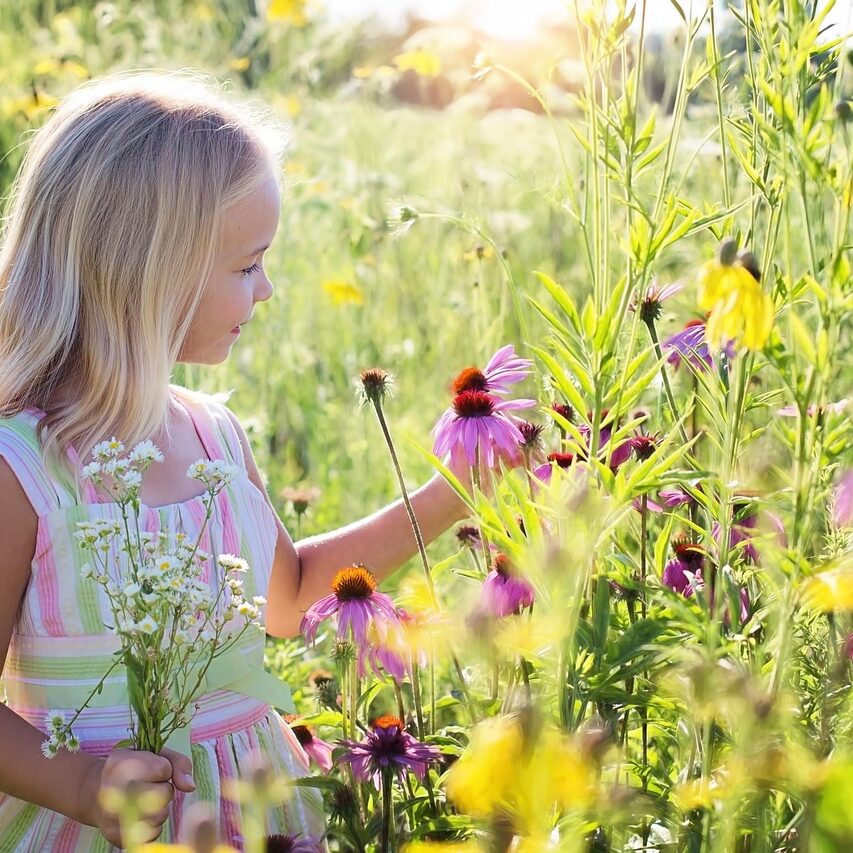 A woman walks through a sunlit field of tall grasses, creating a serene, natural scene.